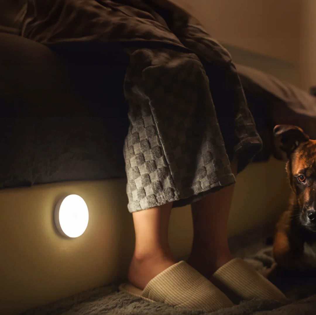 Motion Sensor Light           (2 Lights in 1 Pack)