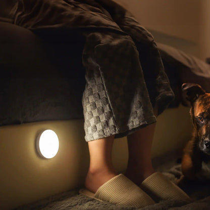 Motion Sensor Light           (2 Lights in 1 Pack)